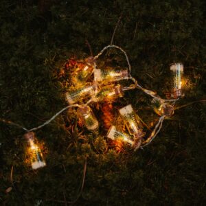 Christmas tree string lights in the forest nature nice atmosphere