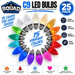C9 LED FACETED BULBS