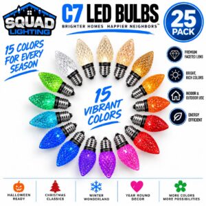 C7 LED FACETED BULBS